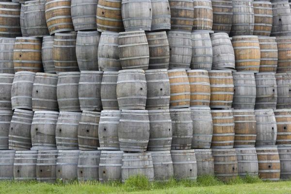 CA, San Luis Obispo Co, Stacks of wine barrels
